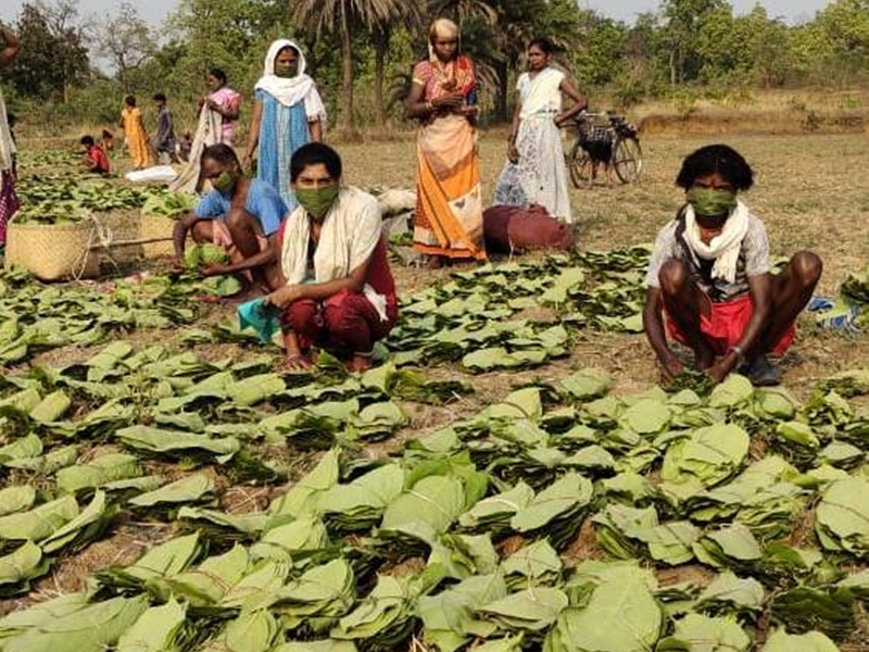 तेंदूपत्ता शाखकर्तन और अग्नि सुरक्षा पर जिला स्तरीय कार्यशाला का आयोजन