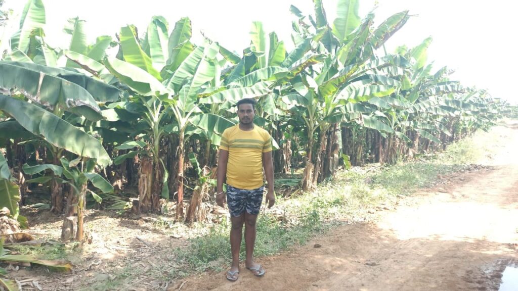 फसल बदली, बदली किस्मत…किसान की लाखों में कमाई