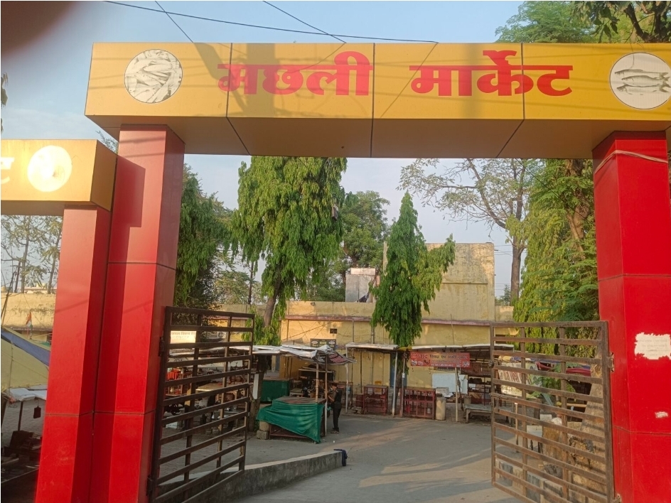 अपने बच्चों को मार्केट में बर्फ या बर्फ से बननें वाले पेय पदार्थो को खाने से रोके,क्योंकि की बिगड़ सकता स्वास्थ्य