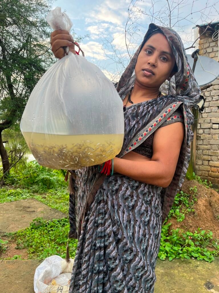 राखी पर बहनों के सपनों को मिली उड़ान, विष्णु भैया की सरकार में स्वरोजगार का सम्मान
